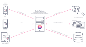 How to Choose the Right Database for Mobile App Development