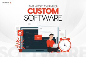 Develop Custom software development cost